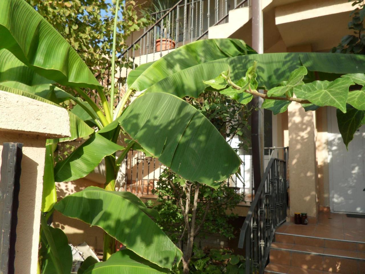 Misko'S Guest House สโกเปีย ภายนอก รูปภาพ