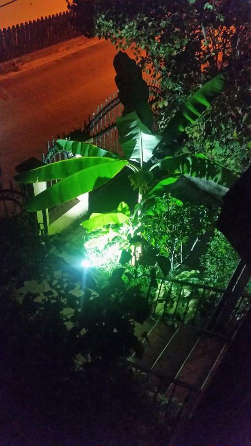 Misko'S Guest House สโกเปีย ภายนอก รูปภาพ